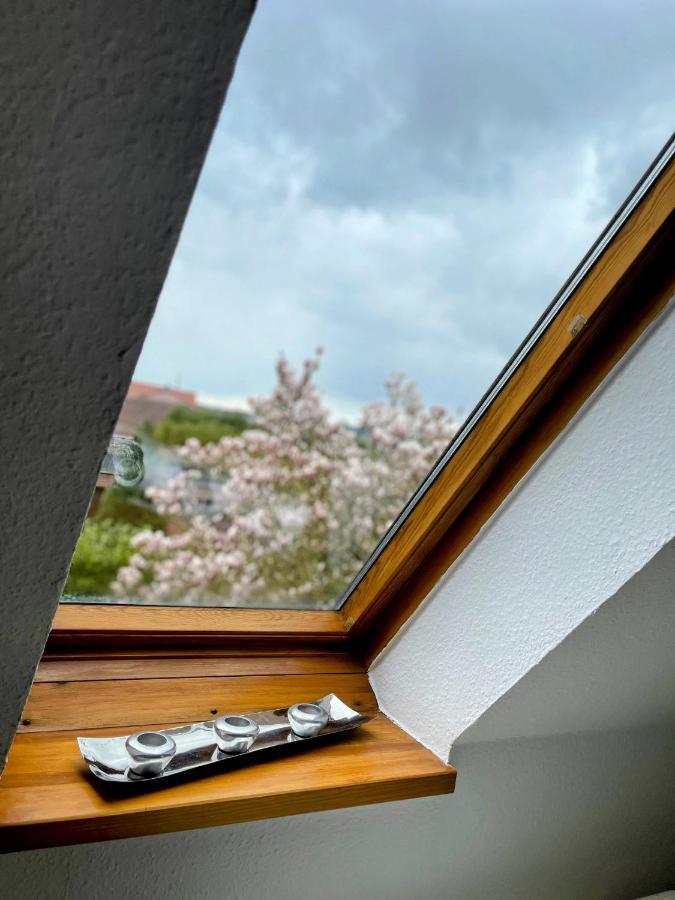 *To Hus* Wohnung Am Rande Von Jever Zewnętrze zdjęcie